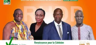 elections-departementales-au-rhdp-treichville-koumassi-port-bouet-et-grand-bassam-voici-les-nouveaux-departementaux